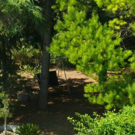Bed and Breakfast Paestum House Екстер'єр фото
